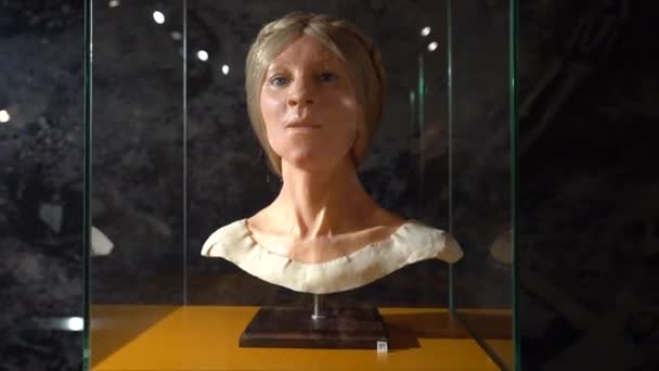 Reconstitution Sculpturale Visage Une Livonienne Décédée Dans Château Médiéval Cesis — Video