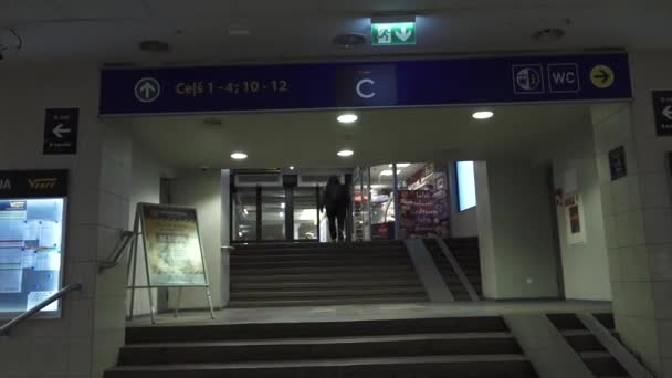 楼梯通往火车月台 各种标志表明有厕所和出口等设施 — 图库视频影像