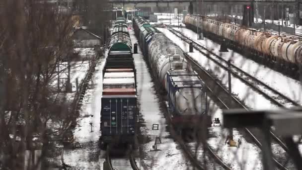 冬季的铁路庭院景观 在铁轨上排成多排的货运列车 雪覆盖了地面和铁路的部分路段 光秃秃的树枝使景色显得有些朦胧 使景致更加深刻 — 图库视频影像