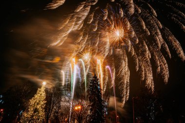 Canlı bir havai fişek, gece gökyüzünü siluetli ağaçların üzerinde aydınlatıyor. Süslü bir Noel ağacı da şenlikli atmosfere katıyor..