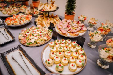 Bir catering etkinliğinde sunulan aperatifler. Açık büfe masasında çeşitli renkler ve dokular sergileniyor..