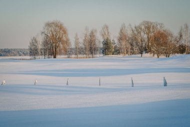 Riga, Letonya - 6 Aralık 2023 - kış boyunca golf sahası, delikleri işaretleyen görünen bayraklarla kaplı, berrak mavi gökyüzüne karşı hareketsiz ağaçlardan oluşan sakin bir manzarayla çevrili..