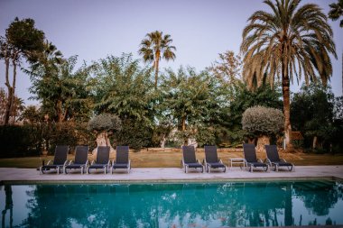 Malaga, İspanya - 21 Ocak, 2024 - Güneşli havuz kenarları hizalanmış ve arka planda palmiye ağaçları yemyeşil.