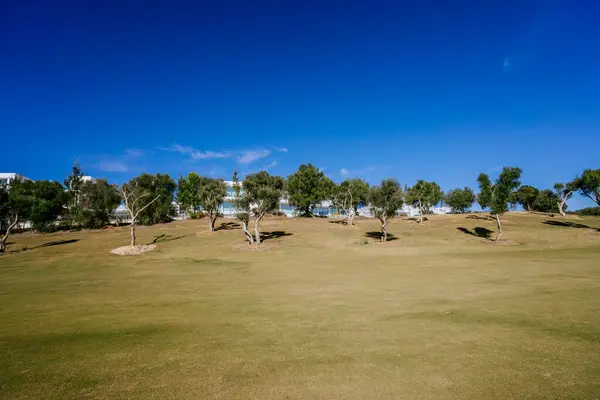 Malaga Spanien Januari 2024 Golfbana Med Böljande Kullar Träd Och — Stockfoto
