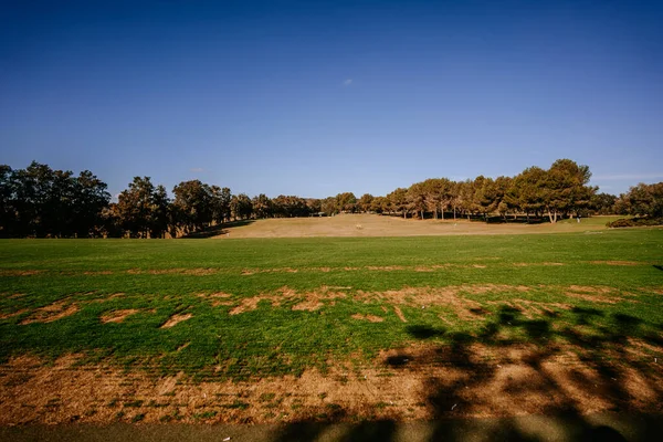 Malaga Spanien Januari 2024 Golfbana Med Fläckar Grönt Gräs Träd — Stockfoto