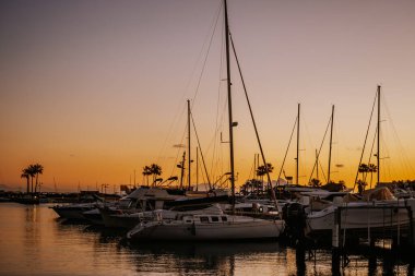 Sotogrande, İspanya - 21 Ocak 2024 - Gün batımında sakin bir marina sahnesi direkler ve palmiye ağaçlarının siluetleri ile canlı turuncu bir gökyüzüne karşı, suya yansıyan.