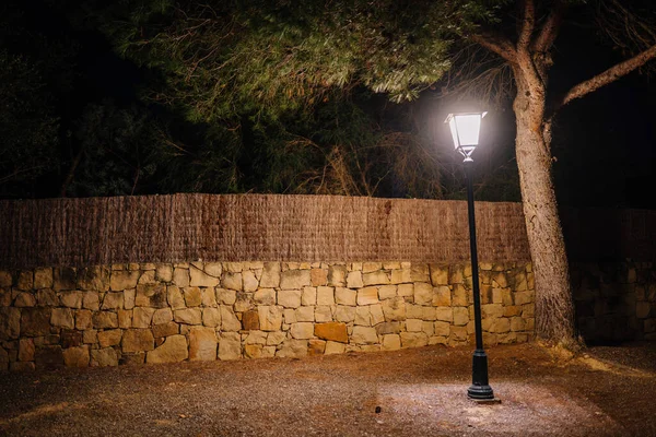 スペイン ソトグランデ 2024年1月23日 ランプポストは 石の壁と夜の木との道に暖かい光を放出します — ストック写真