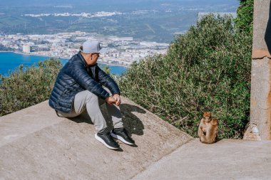 Cebelitarık, İngiltere - 24 Ocak 2024 - Kıyı kasabasına tepeden bakan bir maymunun yanında oturan kep ve ceket giyen bir adam.