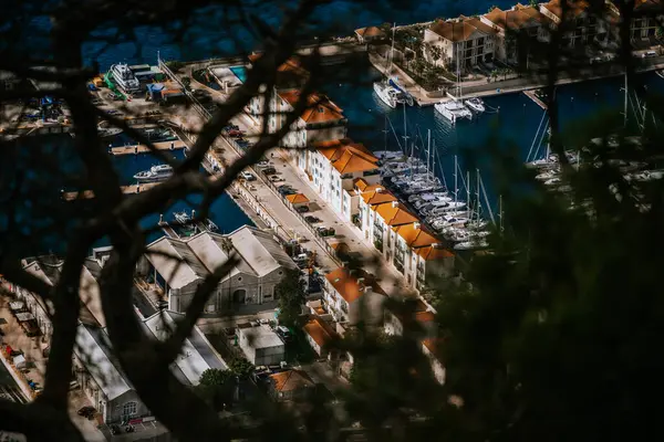 Gibraltar, Britain - January 24, 2024 - A view of a marina with boats through tree branches, with terracotta roofed buildings adjacent.
