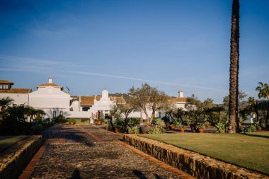 Sotogrante, İspanya - 27 Ocak 2024 - Terracotta çatılı beyaz villa, kaldırımlı bir patika, palmiye ağaçları ve manikürlü çimenler.