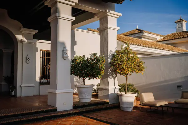 Sotogrante, Spain - January 27, 2024 -  potted orange trees on a patio with white columns and a tiled floor in a sunny setting.
