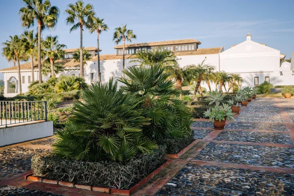 Sotogrante, İspanya - 27 Ocak 2024 - Beyaz Akdeniz tarzı bir villaya çıkan bitki ve palmiye ağaçlarıyla kaplı patika.