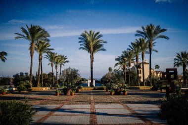 Sotogrante, İspanya - 27 Ocak 2024 - Palmiye ağaçlarıyla kaplı patika bir bina, yukarıdaki saksı bitkileri ve mavi gökyüzü, iyi manikürlü bir bahçe düzeninde.