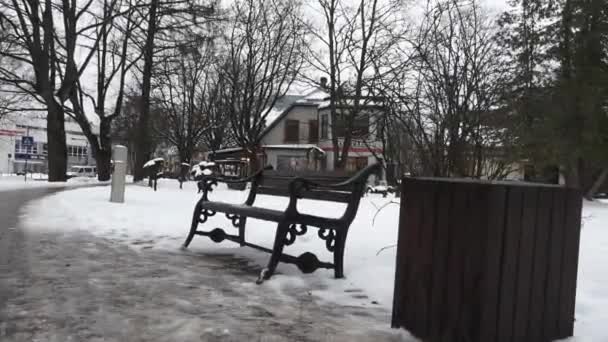 Sigulda Letland Februari 2024 Parkbanken Een Vuilnisbak Een Besneeuwd Pad — Stockvideo