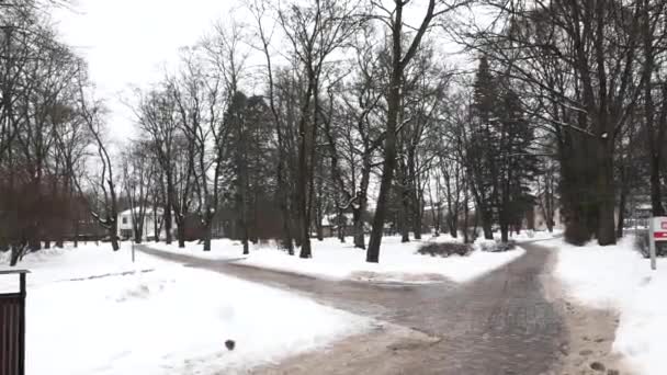 Сигулда Латвия Февраля 2024 Года Парк Зимой Расчищенными Снега Дорожками — стоковое видео
