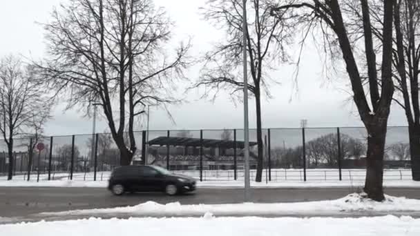 Cesis Lettland Februar 2024 Eine Winterszene Mit Kahlen Bäumen Und — Stockvideo