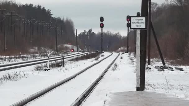 リッパ ラトビア 2024 信号が点灯する雪の鉄道トラック 最初のキャリッジの停止点を示す兆候 背景の森 — ストック動画