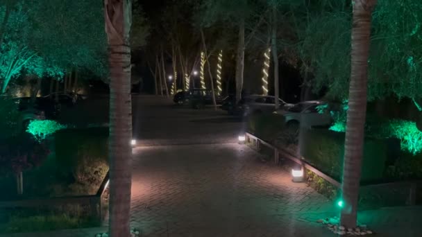 スペイン ソトグランデ 2024年1月22日 照らされた木々 駐車された車 および経路ライトを持つドライブウェイの夜景 穏やかな雰囲気を作成 — ストック動画