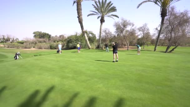 Agadir Marokko Februari 2024 Een Vrouw Maakt Foto Een Golfgroen — Stockvideo