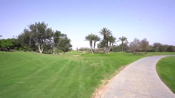 Agadir Marocko Februari 2024 Lummig Golfbana Med Grönt Gräs Palmer — Stockvideo