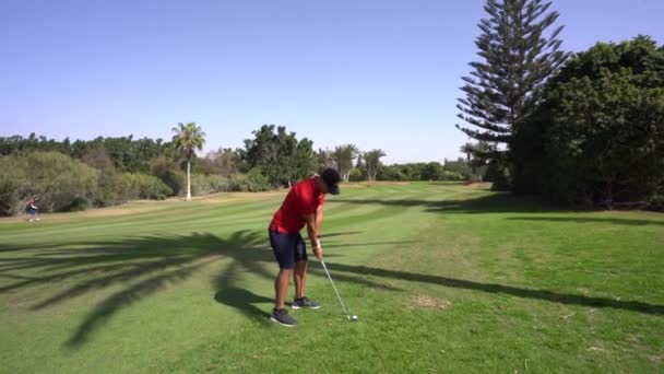 Agadir Morocco February 2024 Golfer Hits Ball Middle Fairway Trees — Stock Video