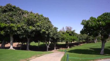 Agadir, Fas - 27 Şubat 2024 - Golf sahasında patikası olan büyük ağaçların altındaki gölgeli bölge, açık mavi gökyüzü ve uzakta bir kum tuzağı.