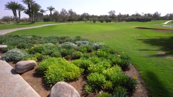 摩洛哥阿加德德 2024年2月27日 绿树成荫的高尔夫球场 绿油油的花坛 绿色的小径 棕榈树 以及蓝天下的水患 — 图库视频影像