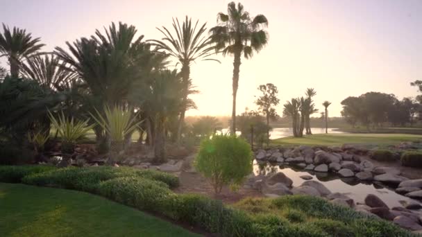 摩洛哥阿加德德 2024年2月27日 日出或日落出现在有棕榈树的高尔夫球场 花园和反映天空的水景上 — 图库视频影像