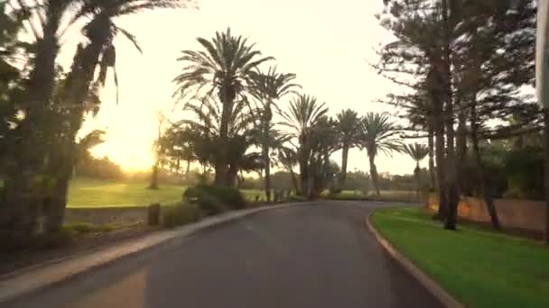 アガディール モロッコ 2024年2月27日 さまざまなヤシの木々と緑豊かな風景の中で曲がる道 日の出や日没時にバスフロントウィンドウから撮影 — ストック動画