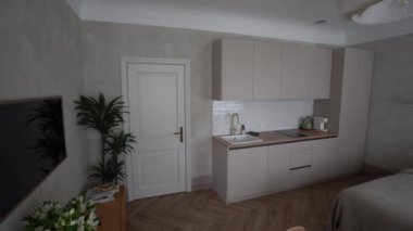 Cesis, Letonya - 14 Şubat 2024 - modern dolap, eşsiz tavan lambası ve kapalı alan bitkilerinin yer aldığı birleşik mutfak ve yatak odası olan bir stüdyo daire..