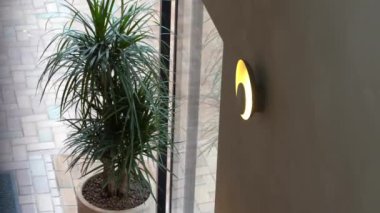  Duvara monte edilmiş modern bir aydınlatma armatürü dokulu bir duvara sıcak bir parıltı yayıyor, arka planda pencerenin yanında büyük bir saksı bitkisi var..