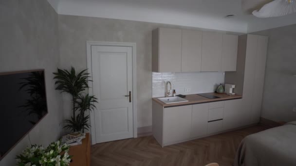 拉脱维亚塞西 2024年2月14日 一间带厨房和卧室空间的工作室公寓 配有现代化的橱柜 独特的天花板灯和室内植物 — 图库视频影像