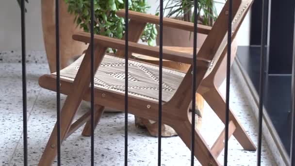 黒い金属製の棒を通して見られる編まれた座席および背部が付いている木製のディレクターの椅子 背景のテラコッタの鍋および植物 — ストック動画