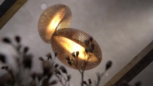 セシス ラトビア 2024年2月14日 編まれたデザインと暖かい輝きを持つユニークな天井灯の据え付け品は 目に見える木の梁とぼやけた前景の花でテクスチャされた天井に設定されています — ストック動画