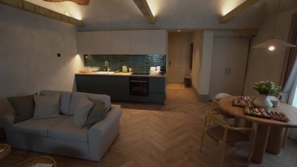 Cesis Latvia February 2024 Studio Apartment Herringbone Floor Grey Kitchen — стоковое видео