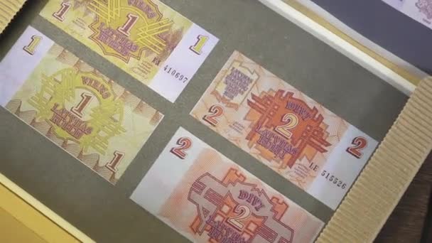 Incukalns Lettonia Marzo 2024 Sono Visualizzate Banconote Rublis Lettone Tagli — Video Stock