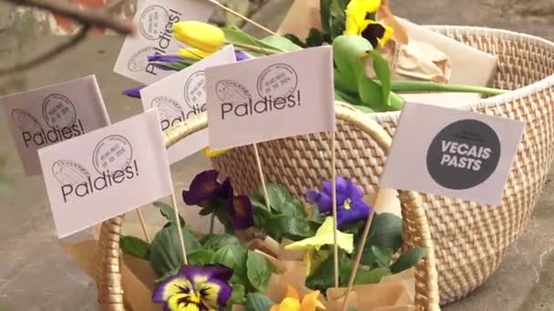 インキュカルンズ ラトビア 2024年3月10日 パルデス で花とカードでいっぱいのウィッカーバスケット そして Vecais Pasts スタンプ — ストック動画