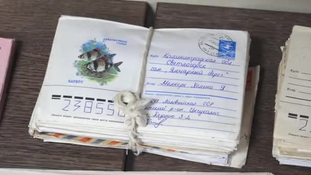 2024年3月10日 ラトビア キリル文字 青い切手 そしてカラフルな魚のイラストが 木の表面上の他の境界文書の横に文字列で結ばれている — ストック動画