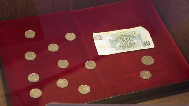 Incukalns Letonya Mart 2024 Kırmızı Bir Yüzey Üzerinde Para Banknot — Stok video