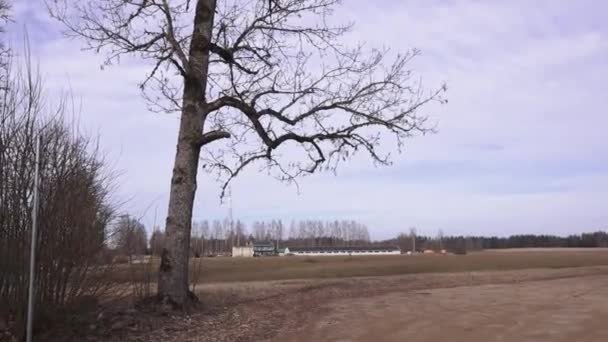 Valmiera Lettland Mars 2024 Lövlöst Träd Förgrunden Med Ett Vidsträckt — Stockvideo
