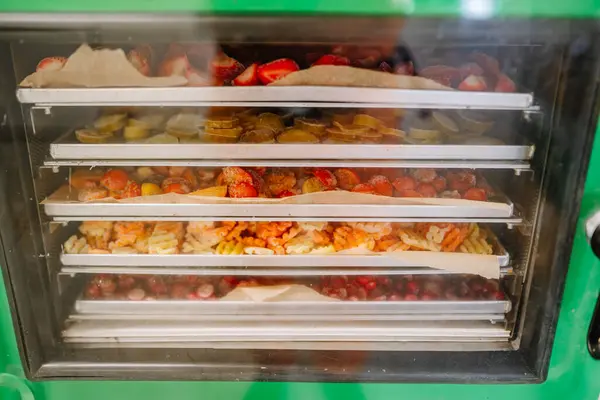 stock image Various fruits and vegetables are spread out on trays inside a freeze dryer.