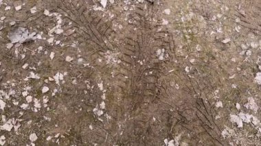Lastik izleri ve dağınık yapraklarla çamurlu zemine yakın çekim.