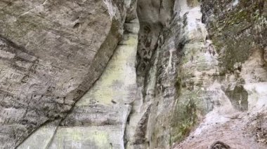 Gaujas Ulusal Parkı, Sietiniezis bölgesinde antik yazıtlar ve doğal erozyon desenleri olan bir kumtaşı kayalığının ayrıntılı görüntüsü..