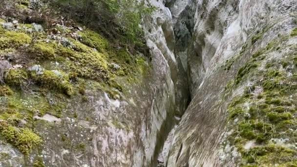 Crevice Large Moss Covered Rocks Forested Area Likely Part Gaujas — Stock Video