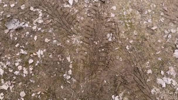 Detailní Záběr Zablácené Půdy Pneumatikami Roztroušenými Suchými Listy — Stock video