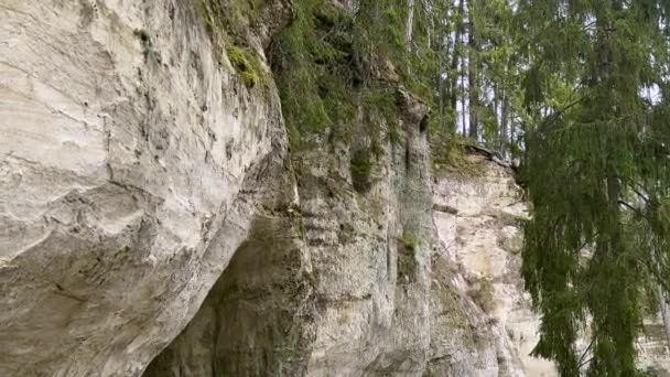 西蒂尼泽斯地区Gaujas国家公园一个有古代碑文和自然侵蚀模式的砂岩悬崖的详细景观 — 图库视频影像