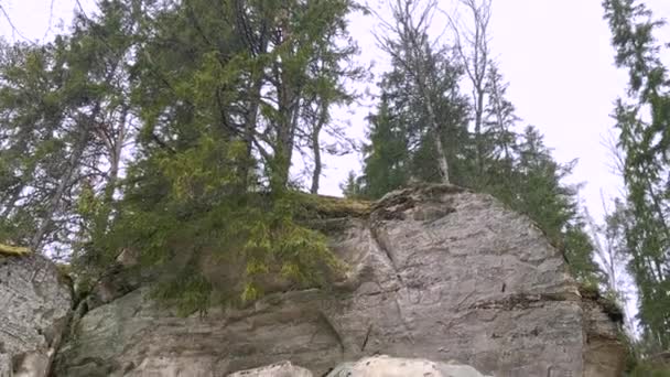 Eine Hoch Aufragende Sandsteinklippe Mit Immergrünen Bäumen Vor Hellem Himmel — Stockvideo