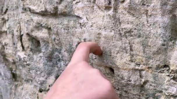 テクスチャされた石の表面を指すか または押す指の指が付いている手のクローズアップ おそらく方向または接触の相互作用を示します — ストック動画