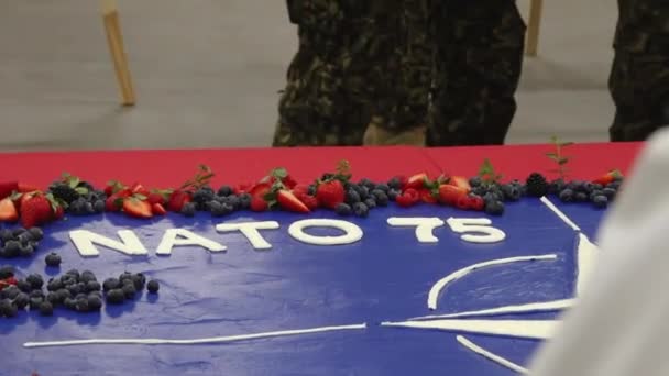 一个装饰有北约标志和 北约75 的蛋糕被浆果包围着 — 图库视频影像