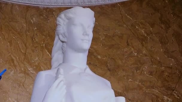一个女人的白色大理石雕像 衬托着棕色大理石的背景 具有古典的特征和宁静的表情 — 图库视频影像